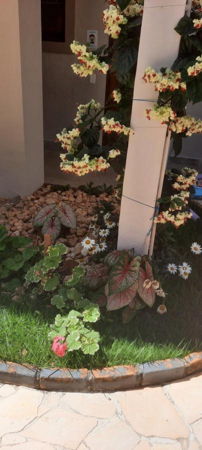 Apartamento Praia De Canasvieras *
